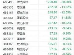 A股“股王”大跌，投资者该如何应对